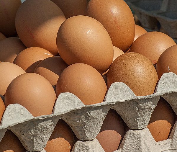 Salmonella wykryta w jajach! GIS wydał pilne ostrzeżenie-31781