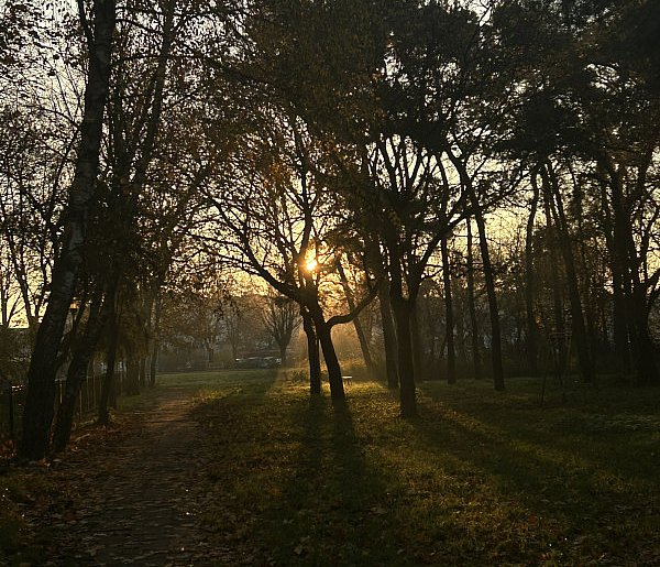 Nadchodzi najkrótszy dzień w 2025 roku. Sprawdź, kiedy przypadnie-31830