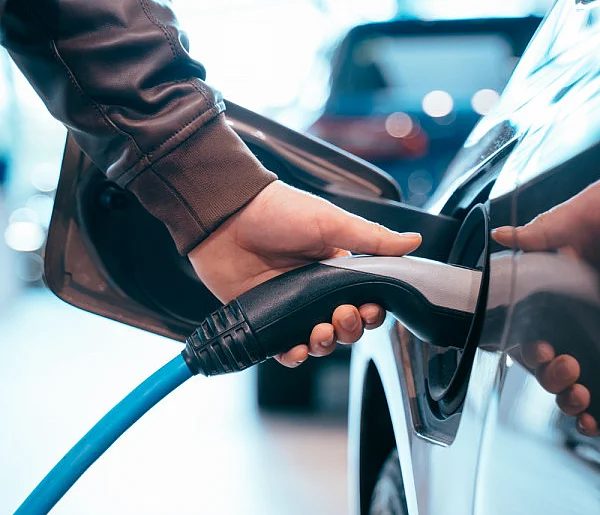 Coraz częściej dochodzi do takich kradzieży. Powody zaskakują-32444