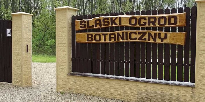 Pospaceruj po Radzionkowie-31142