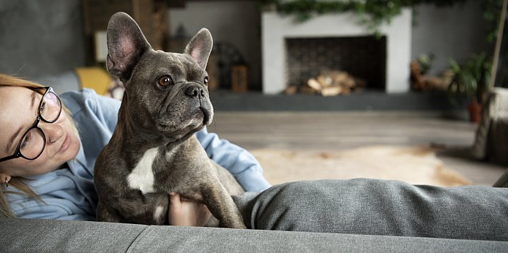 Jak świadomie zaadoptować zwierzę?