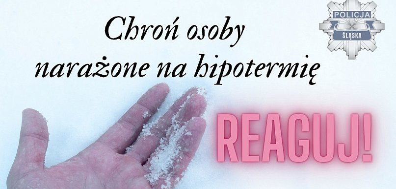 Mróz może zabić najsłabszych. Nie bądź obojętny