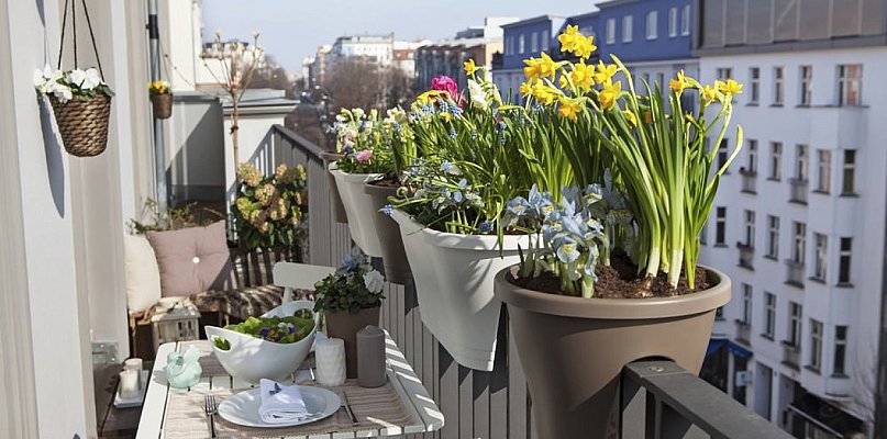 Rusza konkurs na najpiękniejszy balkon i ogród - 29782