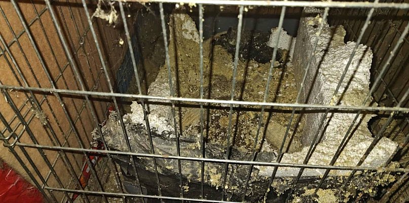 Makabryczne odkrycie przy Odrzańskiej - 30779