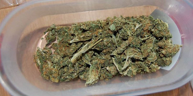 Posiedzi nawet trzy lata za zioło - 30911