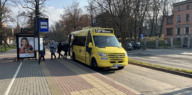 Minibusy wracają na trasy - 31256