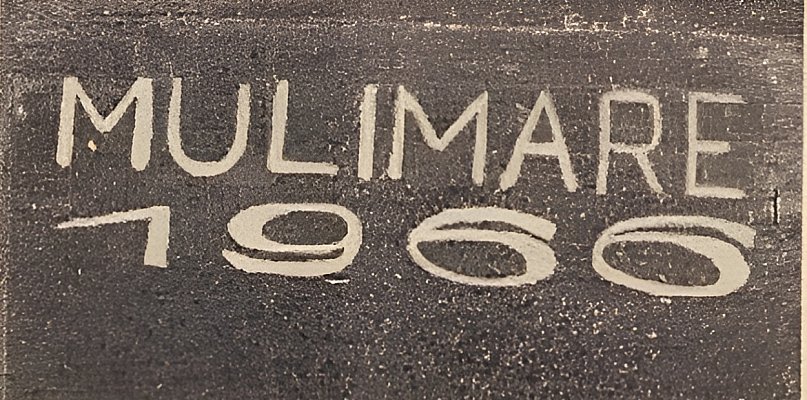 Mulimare i anarchiści z Bytomia - 31578