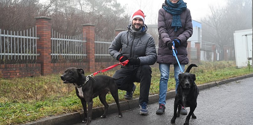 Bezdomniaki poszły na spacer po Miechowicach - 31599