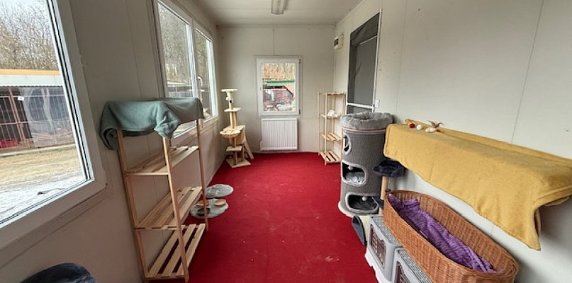 Miasto na nowo organizuje schronisko i wlepia wielką karę byłemu zarządcy