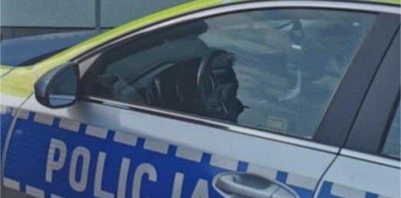 Nie miał prawka, a prowadził auto