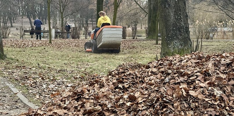 Wiosenne porządki w Parku Kachla. Trwa usuwanie zalegających liści