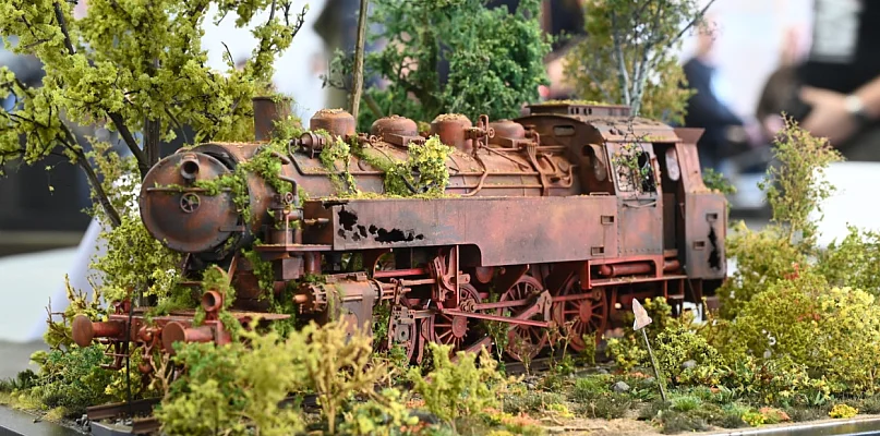 Zredukowany świat wystawiony na pokaz