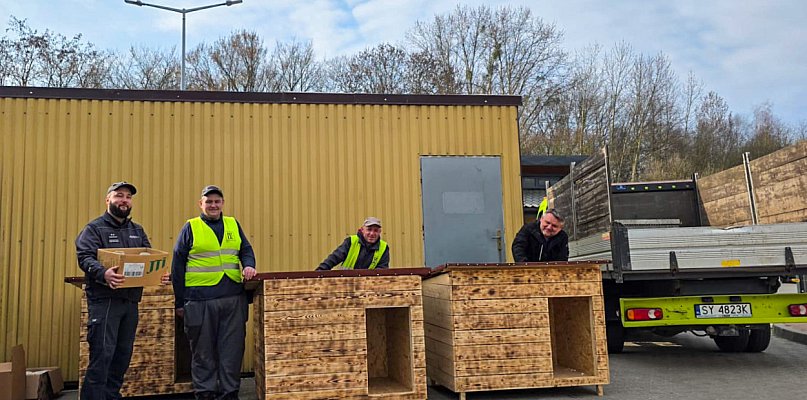 Osadzeni i strażnicy zrobili budy dla psów ze schroniska
