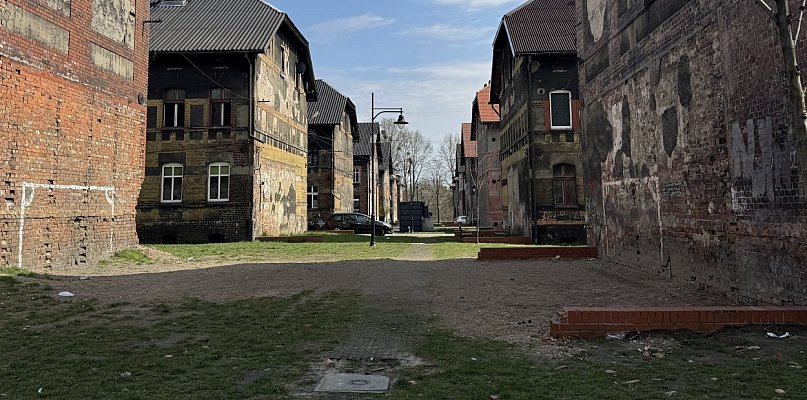 Wspólne sprzątanie Bytomia. Miasto zapewni worki i jednorazowe rękawiczki