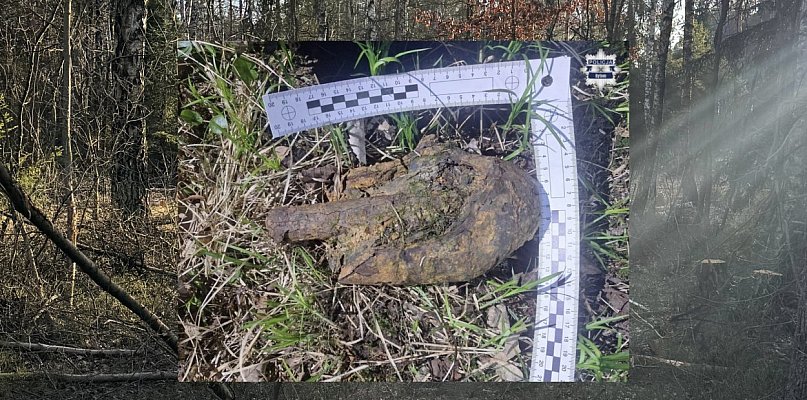 Spacerował po miechowickim lesie. Odnalazł pocisk artyleryjski