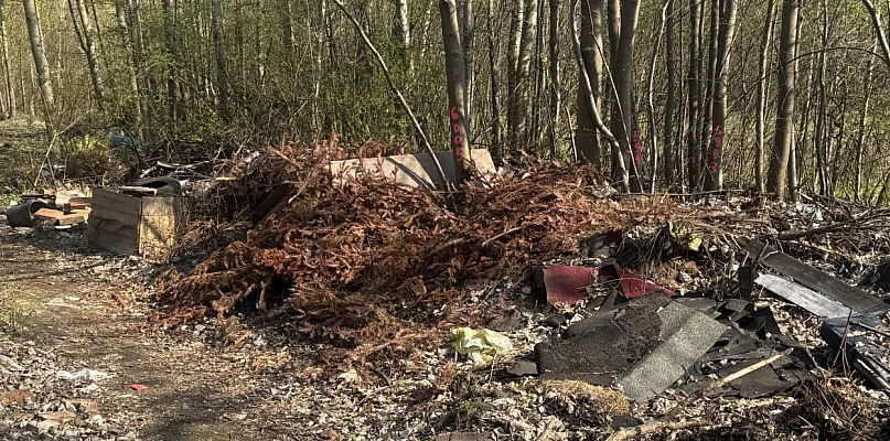 Miasto zleciło wielkie sprzątanie. Firma zebrała ponad 15 ton odpadów