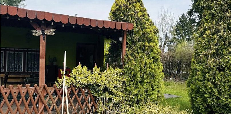 Ogródek działkowy w Bytomiu? Relatywnie tanio lub w cenie małego mieszkania