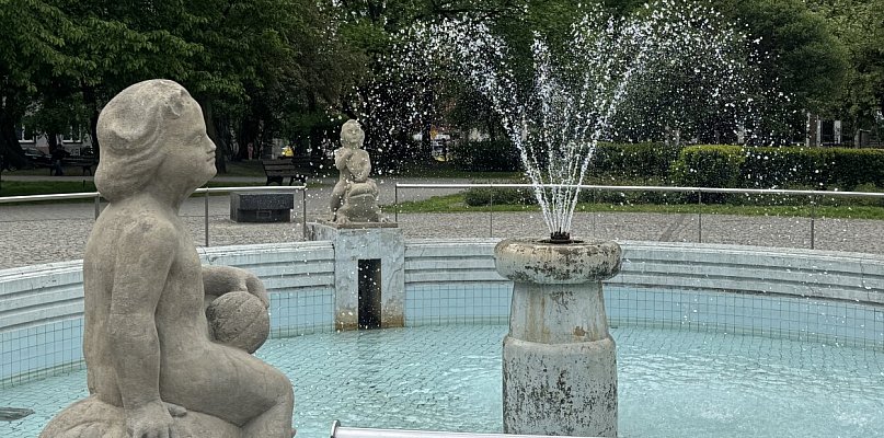 Rzecz o drzewach w mieście. Rusza cykl zielonych spacerów po Bytomiu