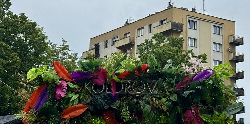 Donos za donosem i na Rynku przestało być kolorowo…