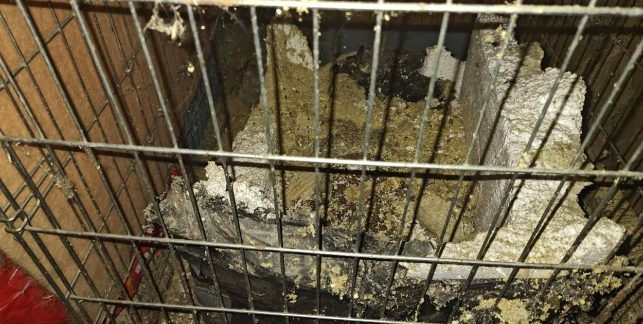 Co się wydarzyło przy Odrzańskiej?