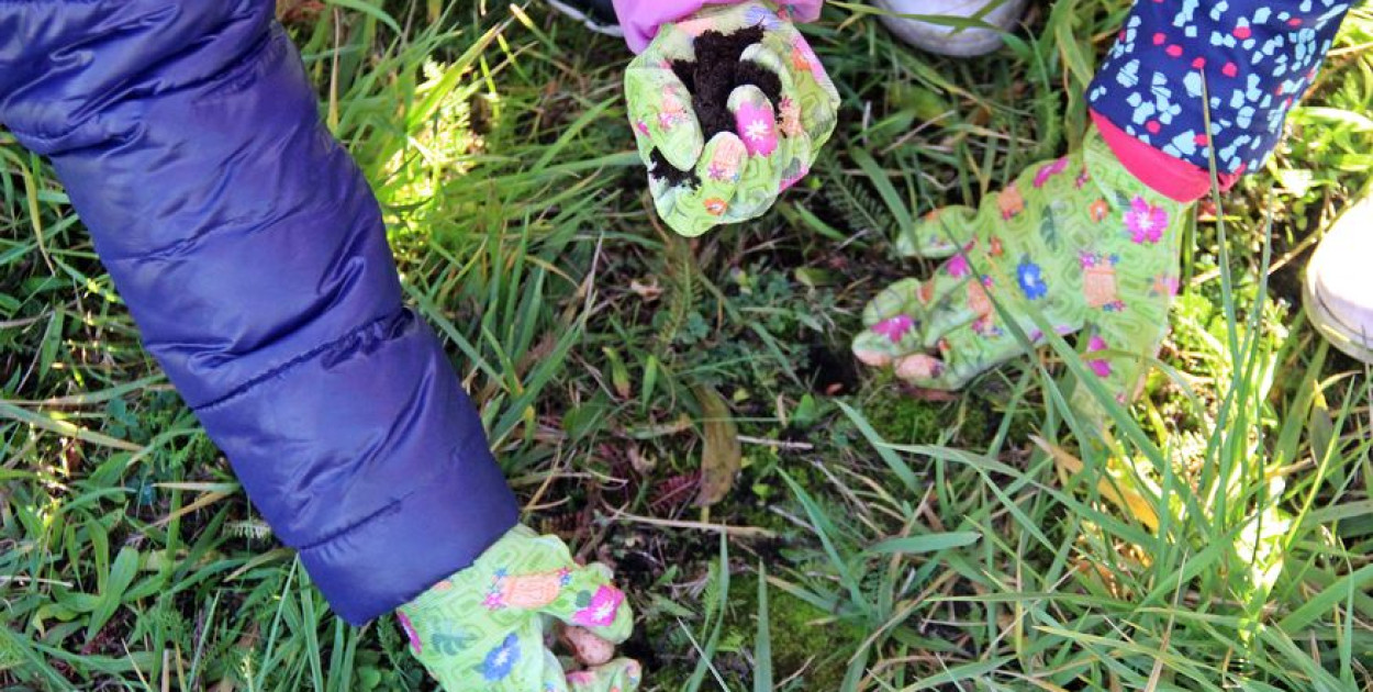 W Radzionkowie uczniowie sadzili krokusy