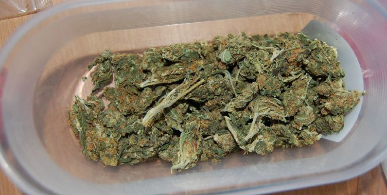 Policjanci zatrzymali bytomianina, który posiadał marihuanę