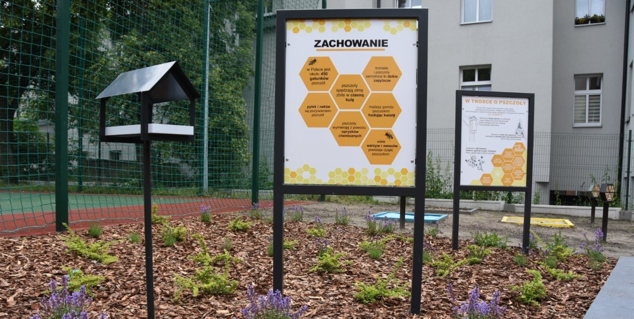 Ekopracownie sprawiają, że nauka jest ciekawsza