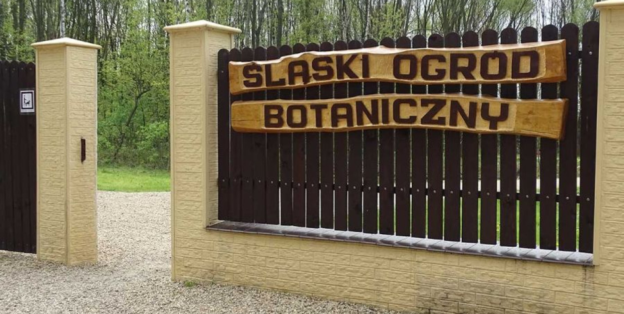 Pospaceruj po Ogrodzie Botanicznym