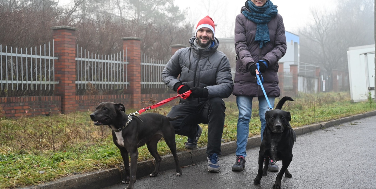 Podopieczni schroniska na spacerze po okolicy