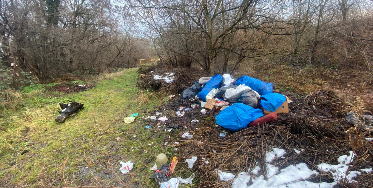 Firma sprzątająca wyrzuciła śmieci na tereny zielone