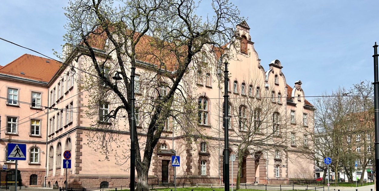 Pomnik przyrody rośnie przed sądem