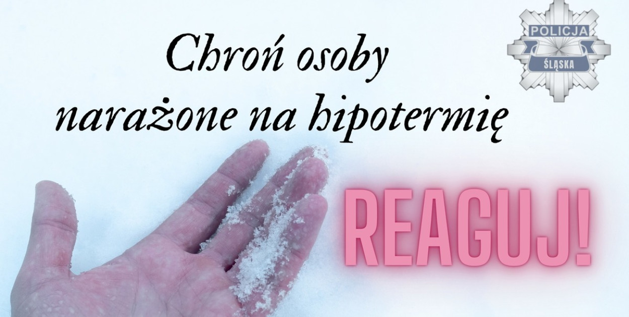 Mróz może zabić najsłabszych. Nie bądź obojętny