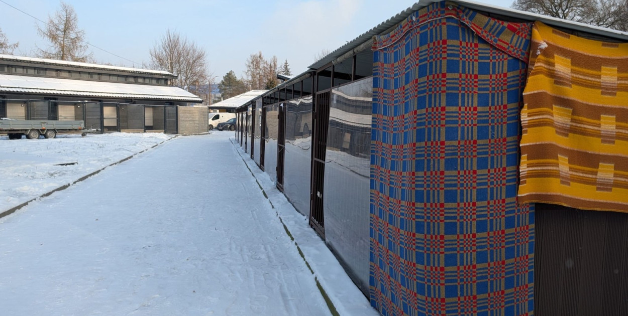 Schronisko jest zabezpieczone przed mrozem