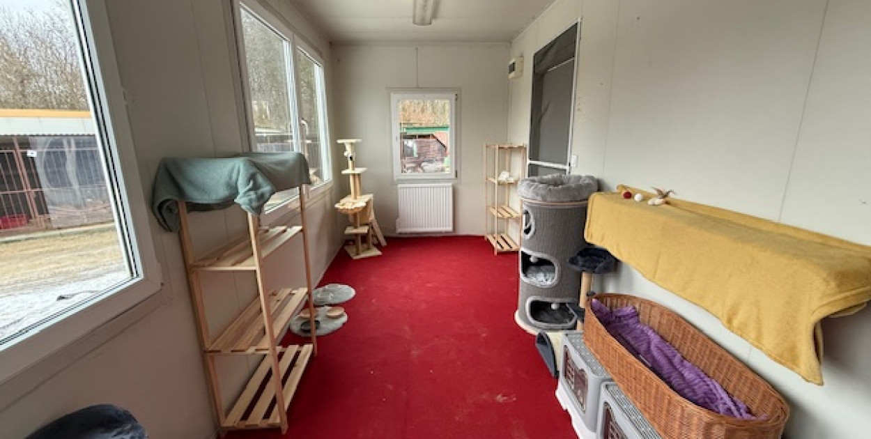 Miasto na nowo organizuje schronisko i wlepia wielką karę byłemu zarządcy