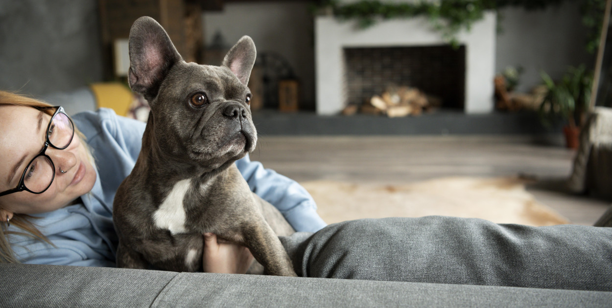 Jak świadomie zaadoptować zwierzę?
