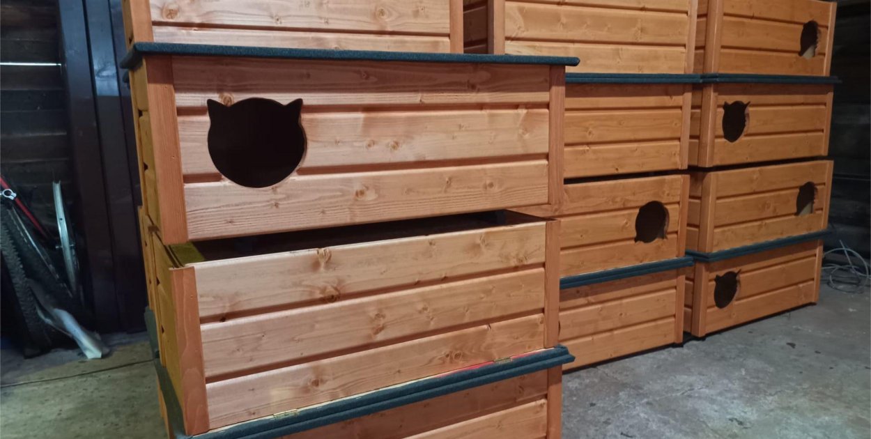 Koty zamieszkają w budkach