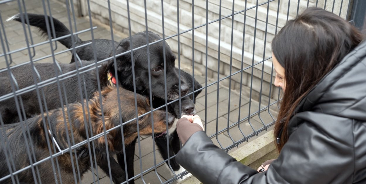 Wolontariusze uczyli się opieki nad zwierzętami