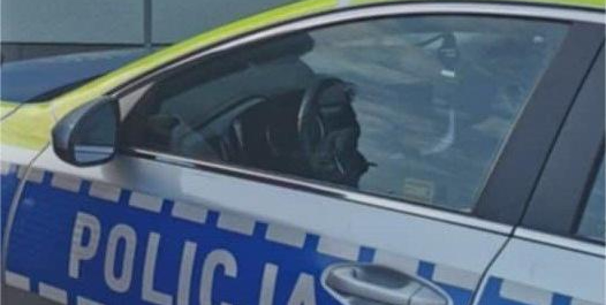 Nie miał prawka, a prowadził auto