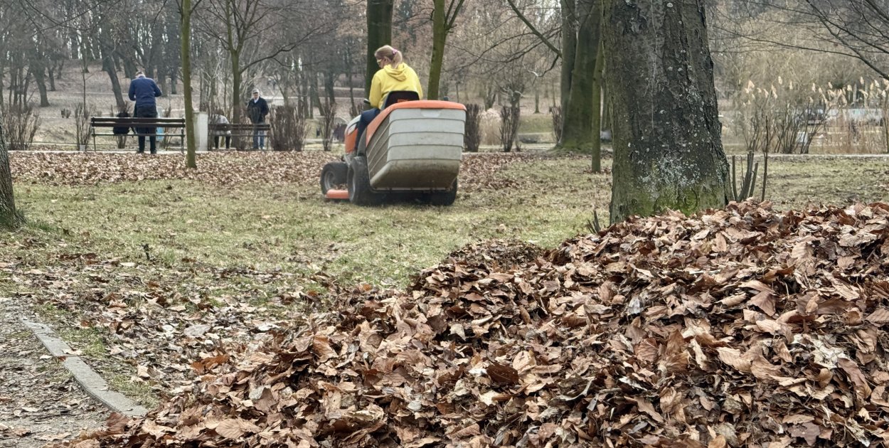 Wiosenne porządki w Parku Kachla. Trwa usuwanie zalegających liści