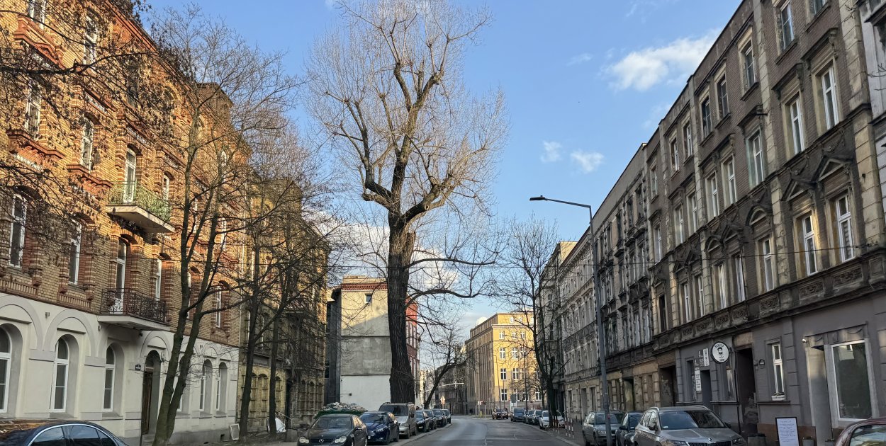 Fragment ul. Piłsudskiego będzie zamknięty dla ruchu. Wyznaczono objazdy