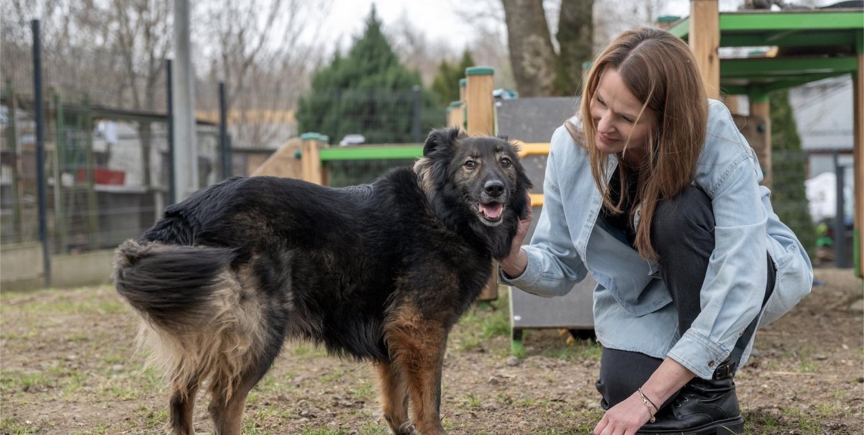 Z korporacji do schroniska dla bezdomnych zwierząt